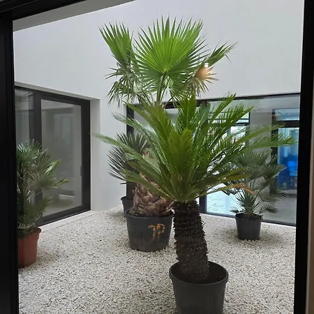 Baltic Waves B006 * Miedzyzdroje